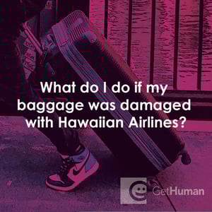 What Do I Do If My Baggage Was Damaged with Hawaiian Airlines?