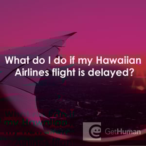 What Do I Do If My Hawaiian Airlines Flight Is Delayed?