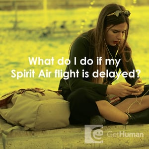 What Do I Do If My Spirit Air Flight Is Delayed?