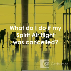 What Do I Do If My Spirit Air Flight Was Cancelled?
