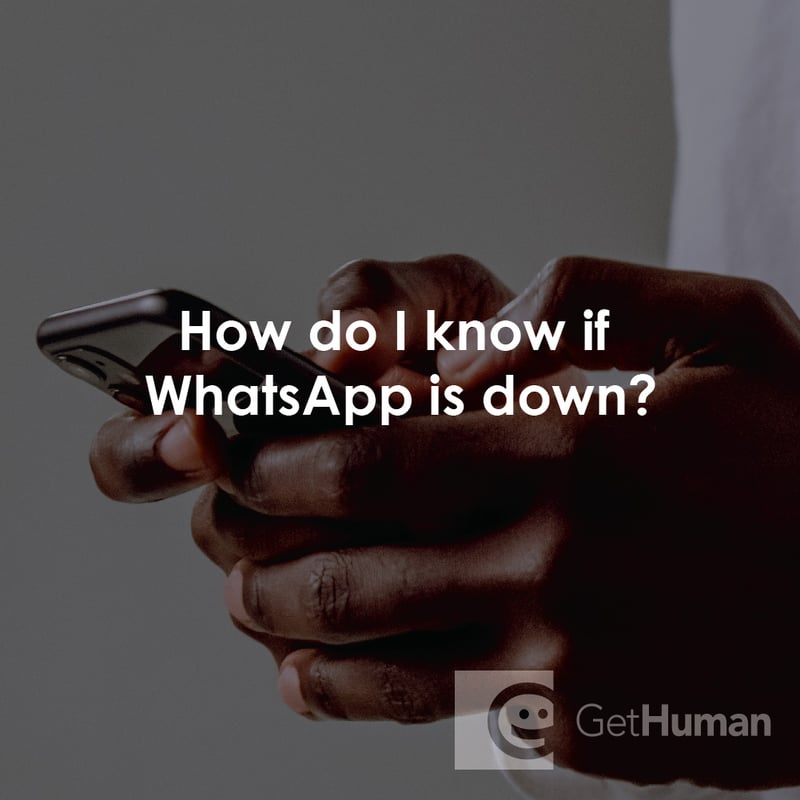 How Do I Know If WhatsApp Is Down?