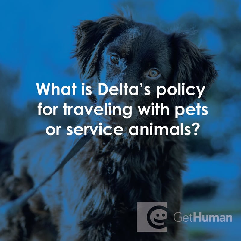 What Is Delta's Policy for Traveling with Pets or Service Animals?