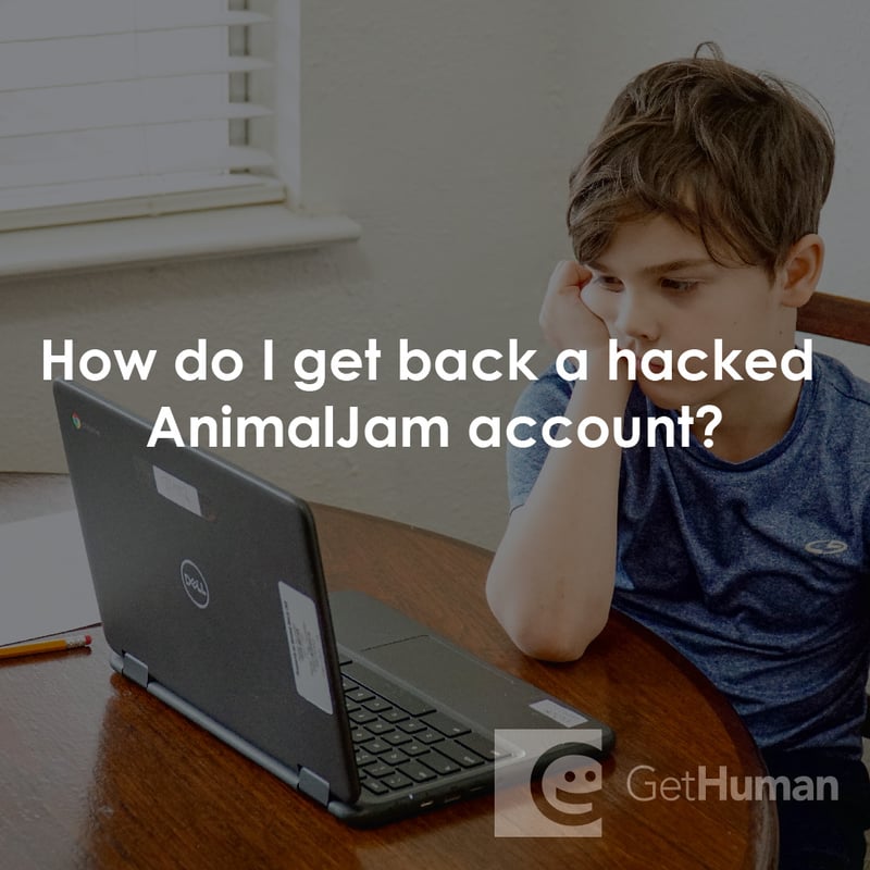 How Do I Get Back a Hacked Animaljam Account?