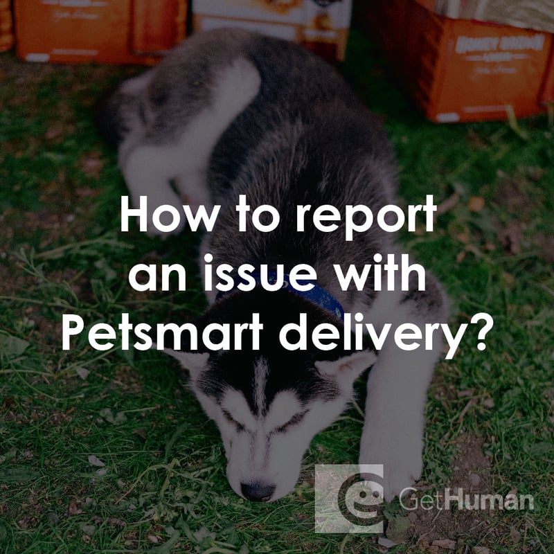 How to Report an Issue with PetSmart Delivery?