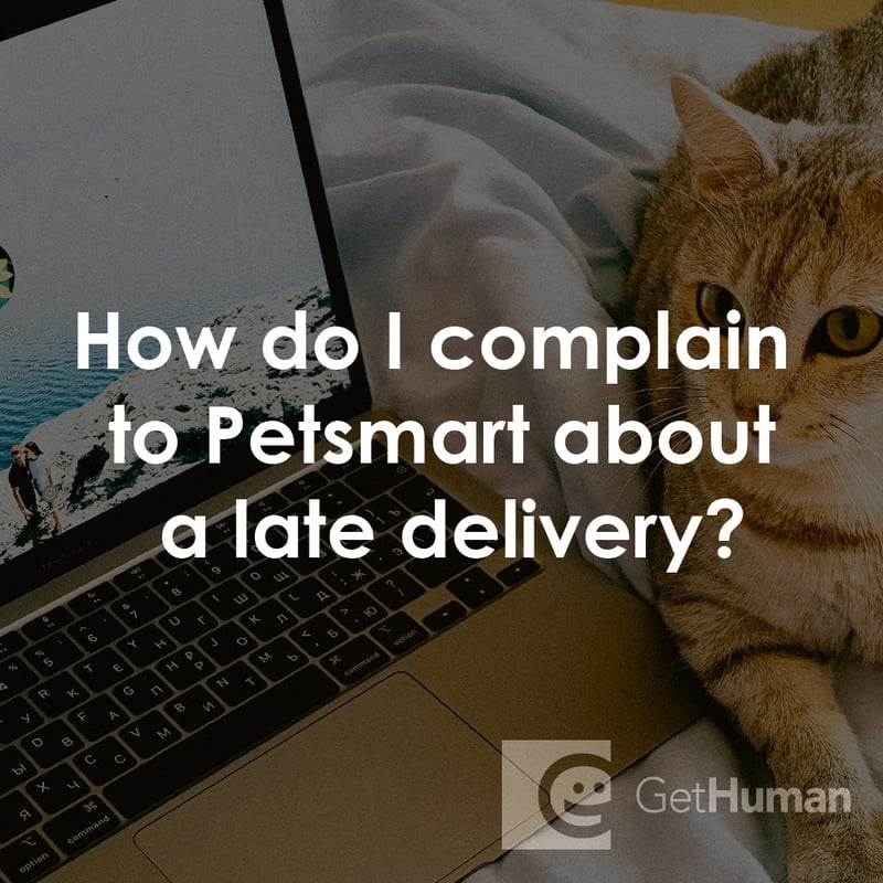 How Do I Complain to PetSmart About a Late Delivery?